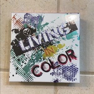 Hank and Henry Living in Color palette